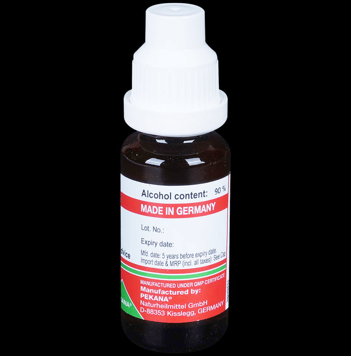 ADEL Aalserum. Mother Tincture 7X