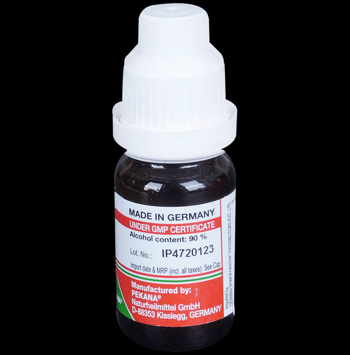 ADEL Eupatorium Perfoliatum Dilution 200