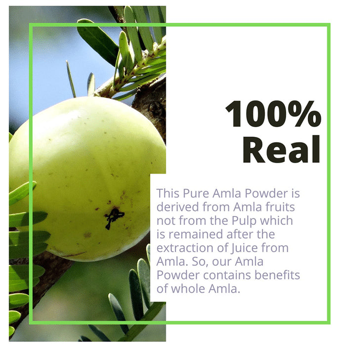 Amazer Care Amla Fruit Powder