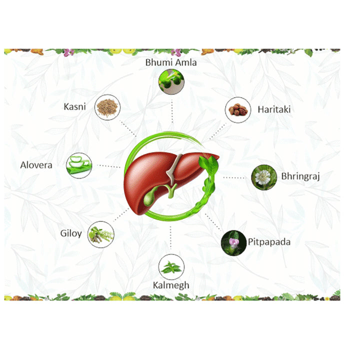 AVG Liver Vital Syrup Sugar Free