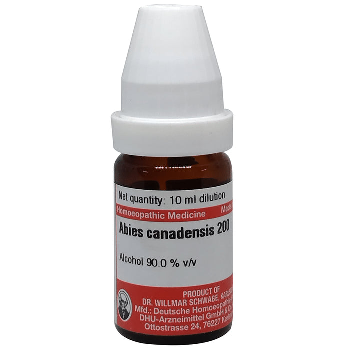 Dr Willmar Schwabe Germany Abies Canadensis Dilution 200 - Classic Derma