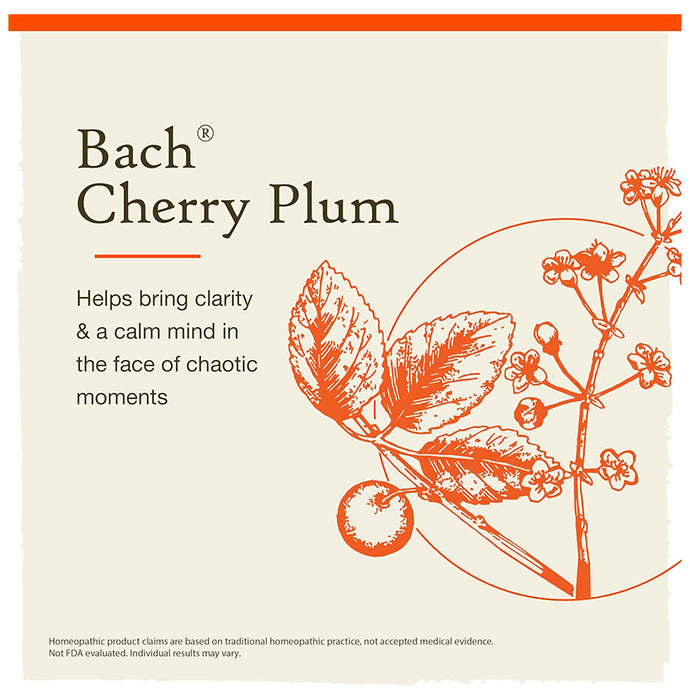 Bach Chery Plum Be in Control