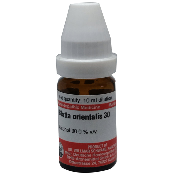 Dr Willmar Schwabe Germany Blatta Orientalis Dilution 30 - Classic Derma