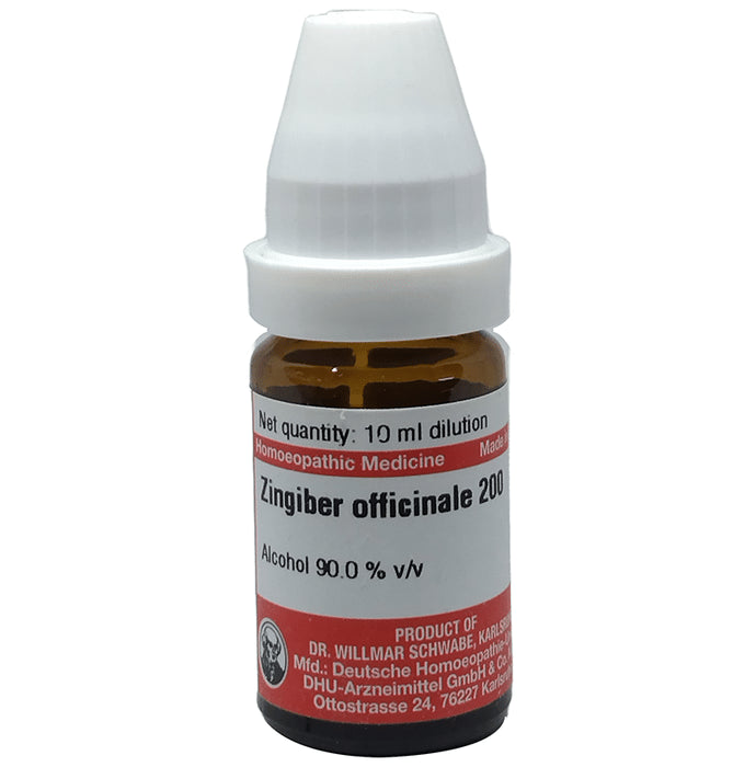 Dr Willmar Schwabe Germany Zingiber Officinale Dilution 200 - Classic Derma