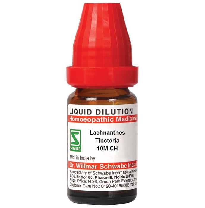 Dr Willmar Schwabe India Lachnanthes Tinctoria Dilution 10M CH - Classic Derma