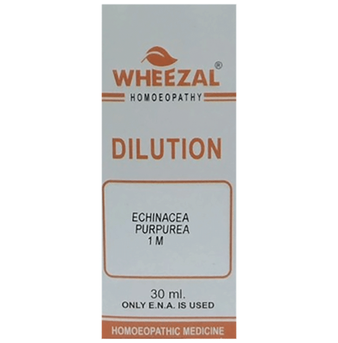 Wheezal Echinacea Purpurea Dilution 1M - Classic Derma