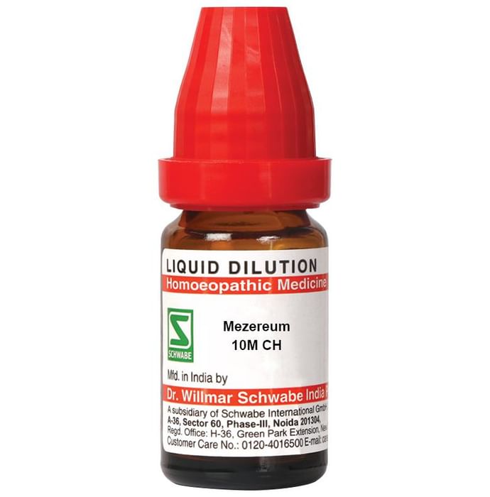 Dr Willmar Schwabe India Mezereum Dilution 10M CH - Classic Derma