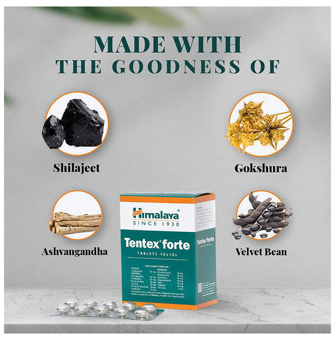 Himalaya Tentex Forte Tablet (10 Each)