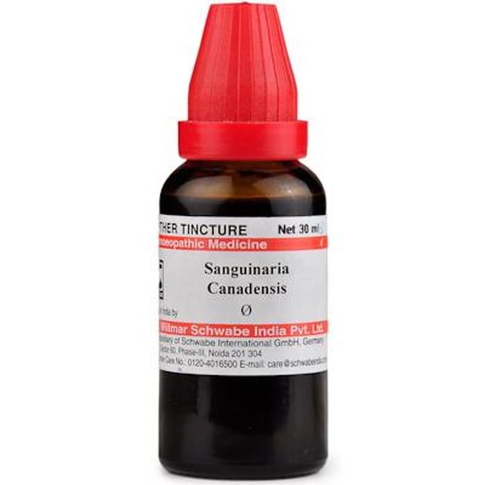Dr Willmar Schwabe India Sanguinaria Canadensis Mother Tincture Q - Classic Derma