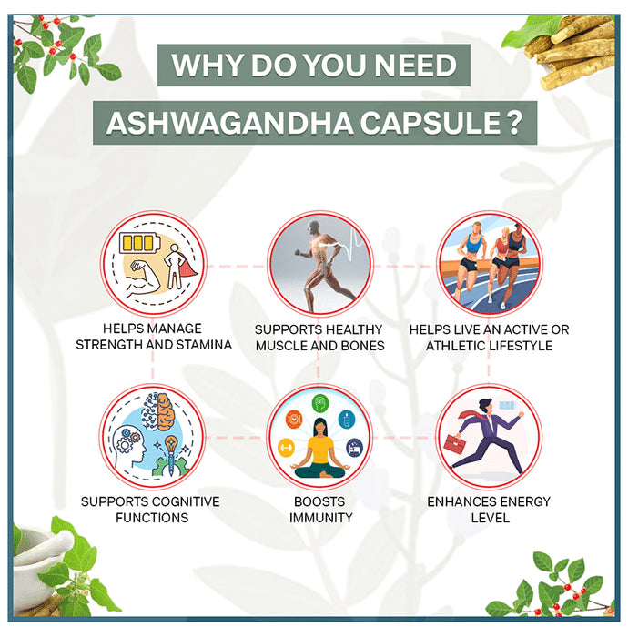 Jiwadaya Ashwagandha Capsule (30 Each)