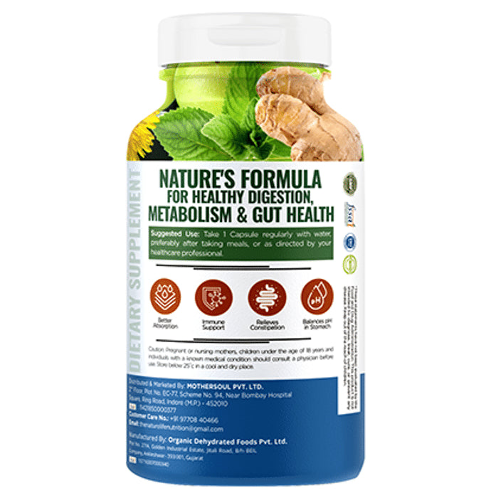 Nature Life Nutrition Plant Based Digestive Care Vegetarian Capsule