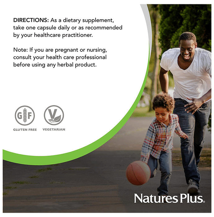 Natures Plus Herbal Actives Licorice (DGL) 500mg Vegan Capsule (60 Each)