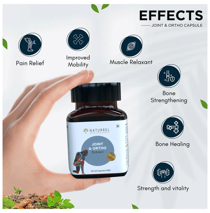 Naturrel Joint and Ortho Extract Capsule (60 Each)