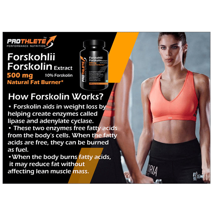 Prothlete Forskohlii Forskolin Extract 500mg Veg Capsule