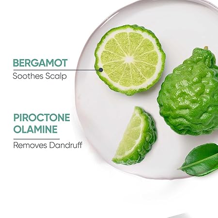 Biolage Professional Scalppure Anti-Dandruff Shampoo,