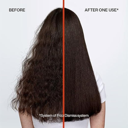 Redken Frizz Dismiss Rebel Tame Leave In Cream With Smoothening Complex