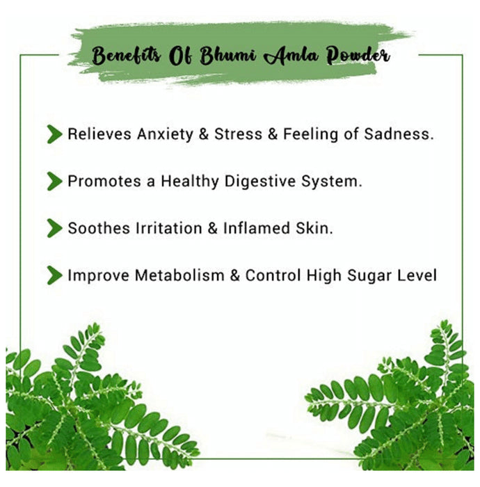 1ratti Bhumi Amla Churna