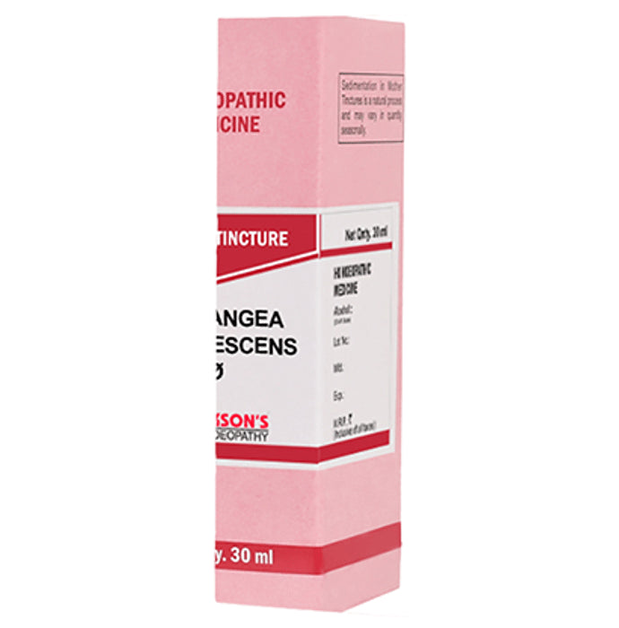 Bakson's Homeopathy Hydrangea Arborescens Mother Tincture Q - Classic Derma