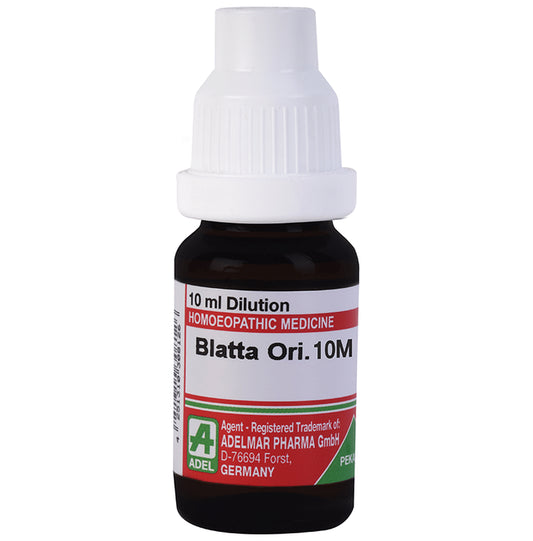 ADEL Blatta Ori. Dilution 10M - Classic Derma