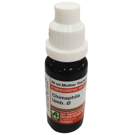 ADEL Chimaphila Mother Tincture Q - Classic Derma
