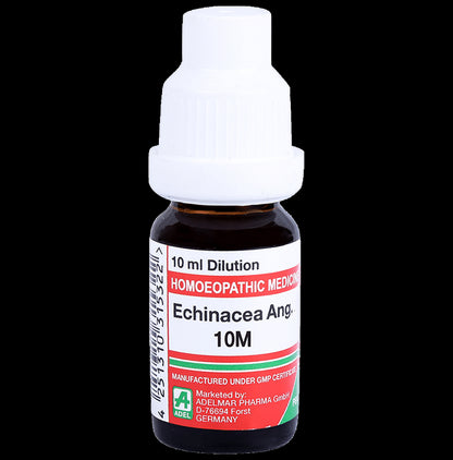 ADEL Echinacea Ang. Dilution 10M - Classic Derma
