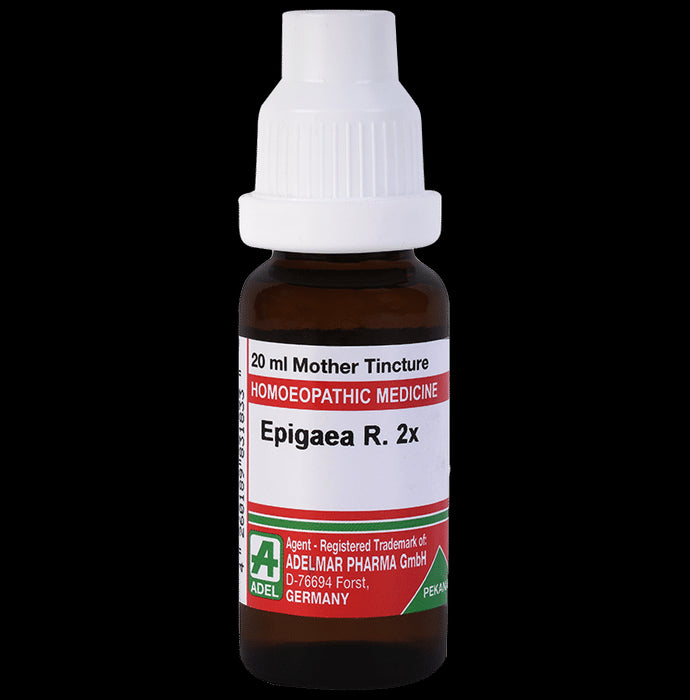 ADEL Epigaea R Mother Tincture 2X - Classic Derma