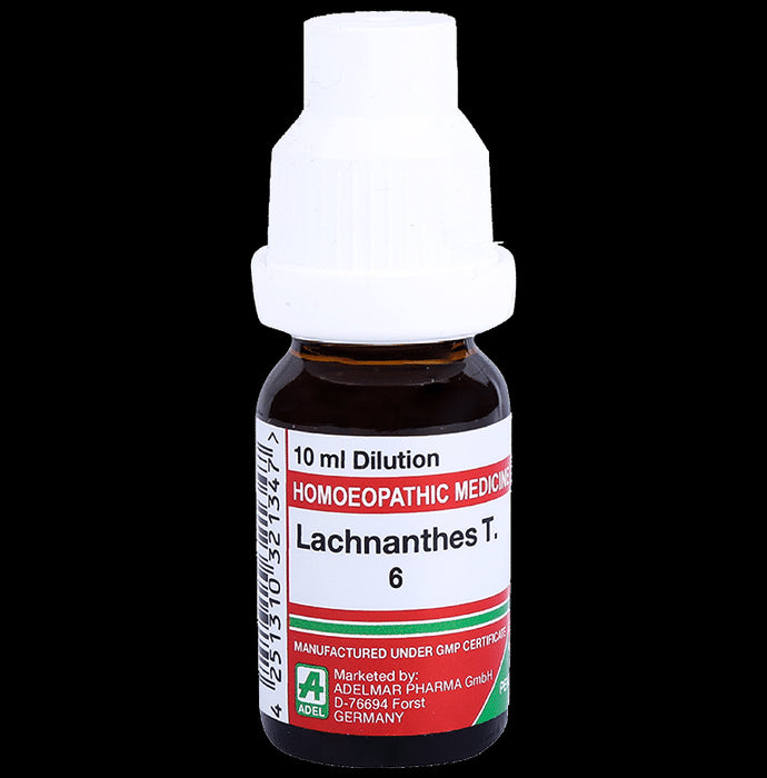 ADEL Lachnanthes T. Dilution 6 - Classic Derma