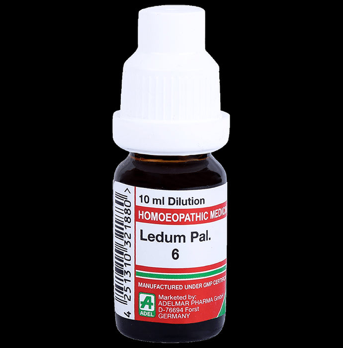 ADEL Ledum Pal. Dilution 6 - Classic Derma