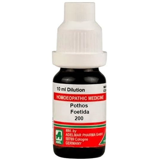 ADEL Pothos Foetida Dilution 200 - Classic Derma