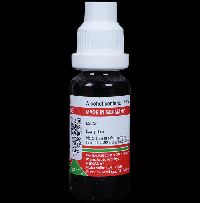 ADEL Quercus Gland Spi Mother Tincture Q