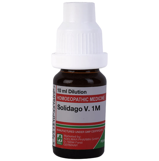 ADEL Solidago V. Dilution 1M - Classic Derma