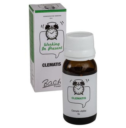 Alfa Omega Bach Flower Clematis 6X - Classic Derma
