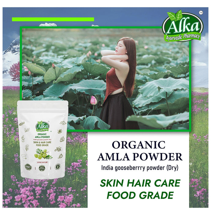 Alka Ayurvedic Pharmacy Organic Amla Powder