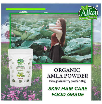Alka Ayurvedic Pharmacy Organic Amla Powder