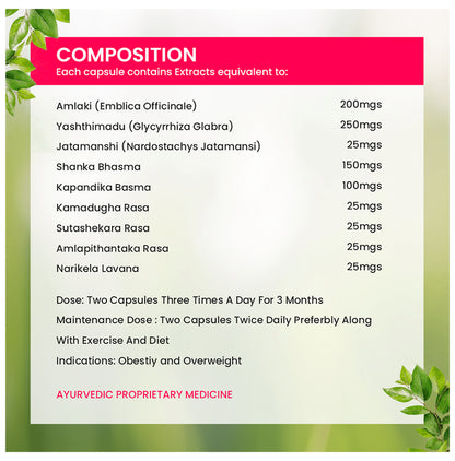 Alopa Alopacid Capsule for Hyperacidity and Gastritis (10 Each)