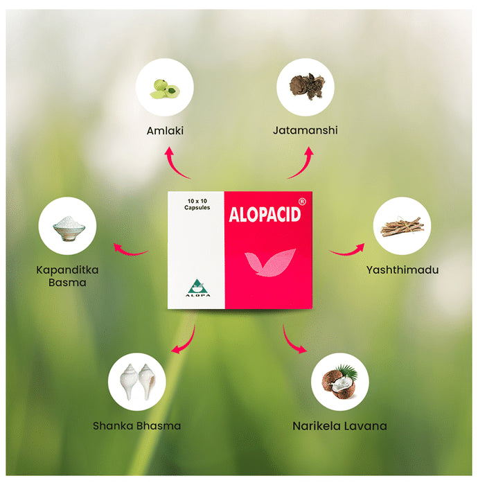 Alopa Alopacid Capsule for Hyperacidity and Gastritis (10 Each)