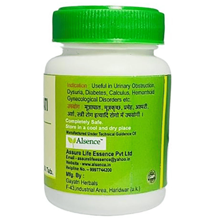 Alsence Chandraprabha Vati Tablet (60 Each)