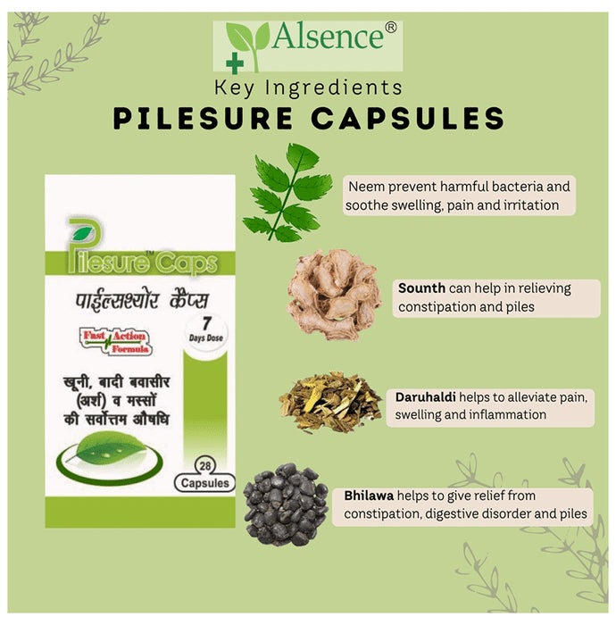 Alsence Pilesure Caps Capsule (28 Each)