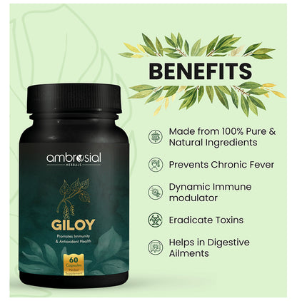 Ambrosial Herbals Giloy Capsule