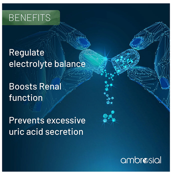 Ambrosial Veg Essentials Iodine with Potassium Veg Tablet