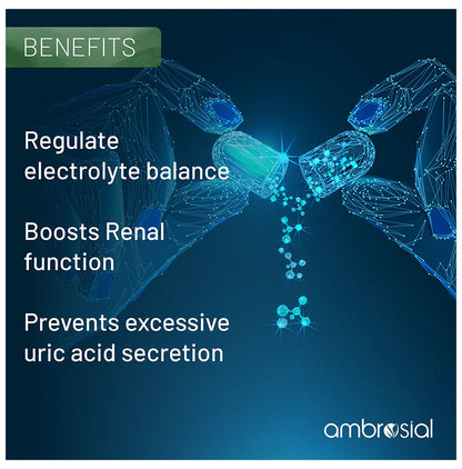 Ambrosial Veg Essentials Iodine with Potassium Veg Tablet