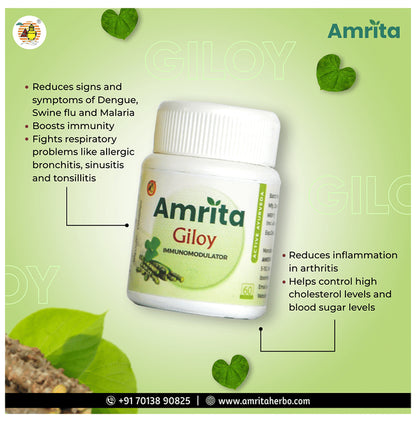 Amrita Giloy Tablet