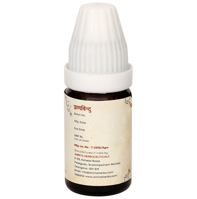 Amrita Pranabindu (10ml Each)