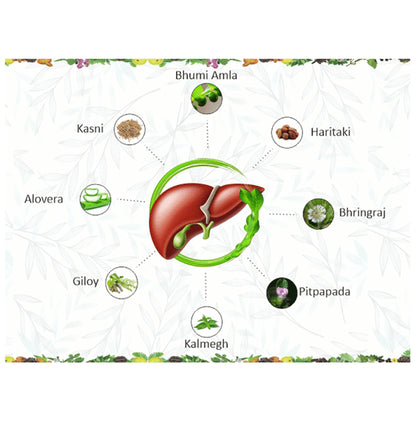 AVG Liver Vital Syrup Sugar Free