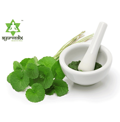 Ayurvedix Gotu Kola Powder