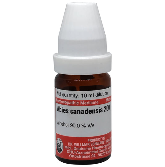 Dr Willmar Schwabe Germany Abies Canadensis Dilution 200 - Classic Derma