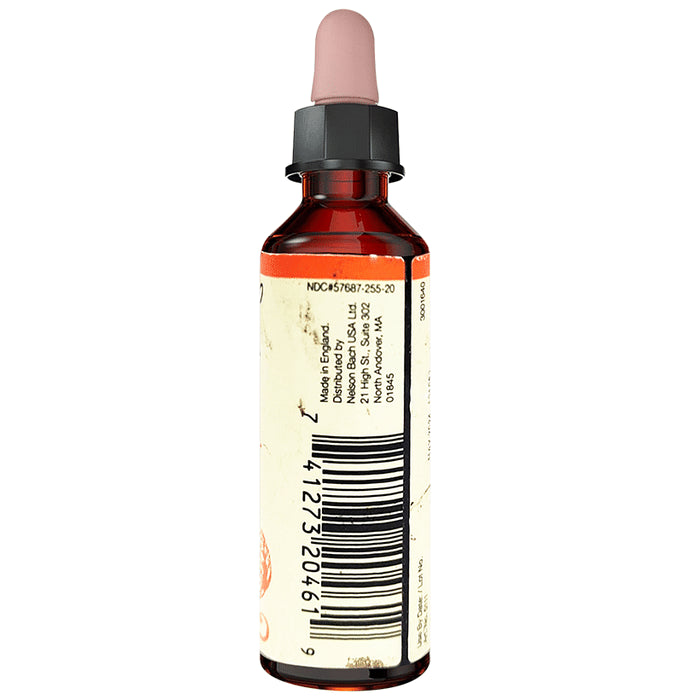 Bach Chery Plum Be in Control