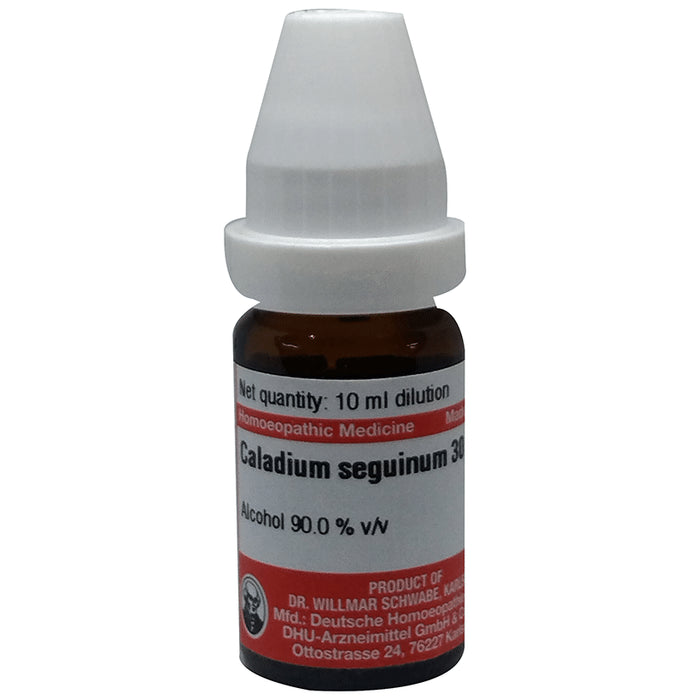 Dr Willmar Schwabe Germany Caladium Seguinum Dilution 30 - Classic Derma