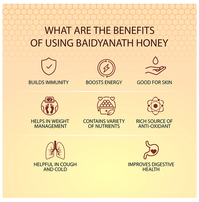 Baidyanath (Noida) Honey | No Sugar Adulteration