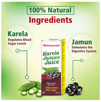 Baidyanath (Noida) Karela Jamun Juice